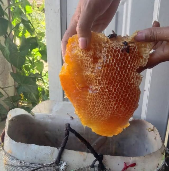 Mật ong thô giữ lại gần như trọn vẹn các dưỡng chất - Ảnh sưu tầm Mật ong thô giữ lại gần như trọn vẹn các dưỡng chất - Ảnh sưu tầm