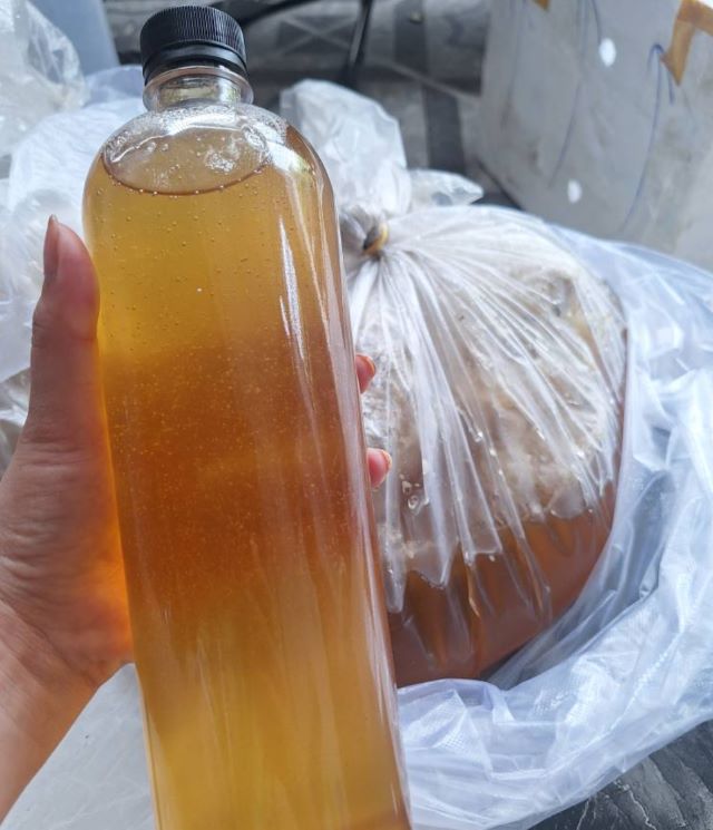 Mật ong nào cũng đều mang lại công dụng hữu ích cho sức khỏe, nên bạn có thể chọn theo nhu cầu của mình - Ảnh từ Hoa Đá Mật ong nào cũng đều mang lại công dụng hữu ích cho sức khỏe, nên bạn có thể chọn theo nhu cầu của mình - Ảnh từ Hoa Đá