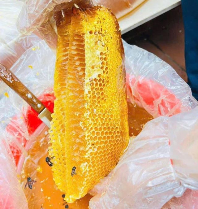 Giá trị dinh dưỡng và giá trị kinh tế của mật ong rừng - Ảnh từ Tuyen Kaka Giá trị dinh dưỡng và giá trị kinh tế của mật ong rừng - Ảnh từ Tuyen Kaka